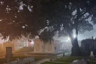 New Orleans Cemetery Bus Tour at Dark thumbnail 1