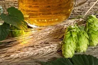Canandaigua Lake Brewery Tour thumbnail 1
