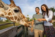 Tampa Serengeti Safari Tour 30 Min thumbnail 2