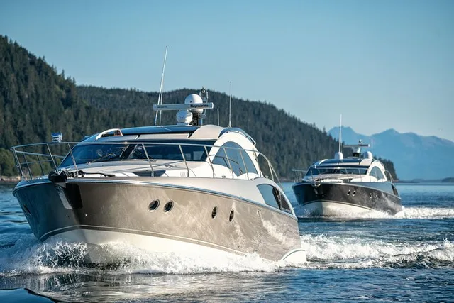 Private Whale Watch in Your Own Yacht 4 hr - Image 5