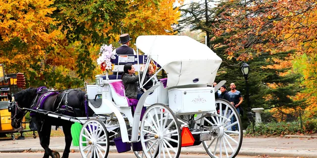 New York Central Park Horse-Drawn Carriage Ride 50 Min - Image 6