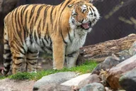 Sioux Falls Zoo Entry Ticket thumbnail 4