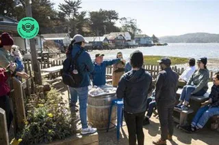 California Vineyards and Wine Tour