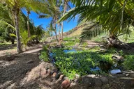 Olowalu Stargazing Tour with BYO Barbecue thumbnail 5