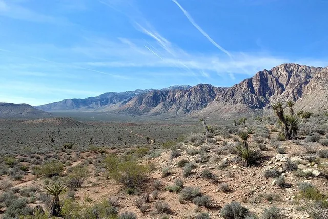 Las Vegas Mountain Bike Tour in Red Rock Canyon - Image 5