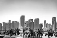 Miami Bus Transfer thumbnail 4