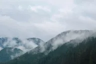 Sitka Alaskan Wilderness Trail Hike thumbnail 4