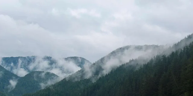 Sitka Alaskan Wilderness Trail Hike - Image 4