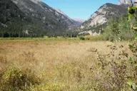 Estes Park Hiking and Bear Lake Corridor Tour thumbnail 6