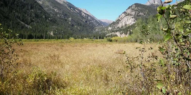 Estes Park Hiking and Bear Lake Corridor Tour - Image 6