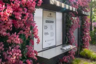 New York Botanical Garden Tour thumbnail 2