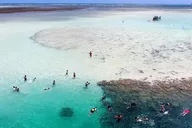 Kaneohe Sandbar Snorkeling Tour thumbnail 4