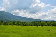 Pigeon Forge Cades Cove Tour in a Panorama Van thumbnail 6