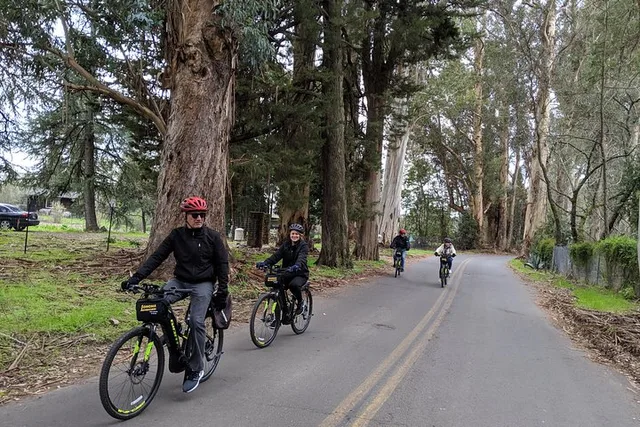 Sonoma Food and Wine E-Bike Tour - Image 3