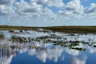 Miami Everglades Airboat Tour thumbnail 1