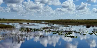 Miami Everglades Airboat Tour