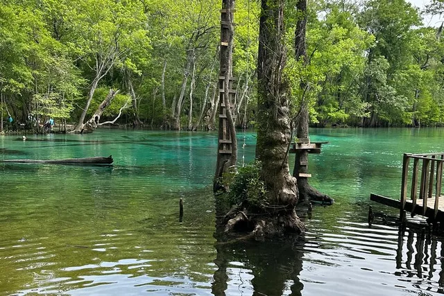 Panama City Beach Cypress Springs Kayak & Paddle Tour - Image 5