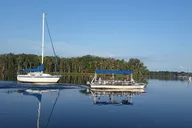 Crystal River Kings Bay Scenic Cruise thumbnail 5