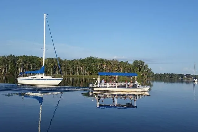Crystal River Kings Bay Scenic Cruise - Image 5
