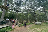 Cape Cod Ziplining and Climbing Adventure thumbnail 1