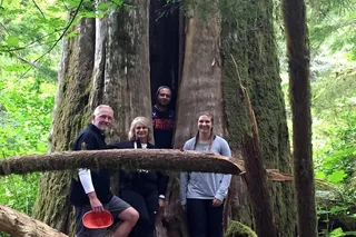 Portland Mt St Helens Adventure Tour