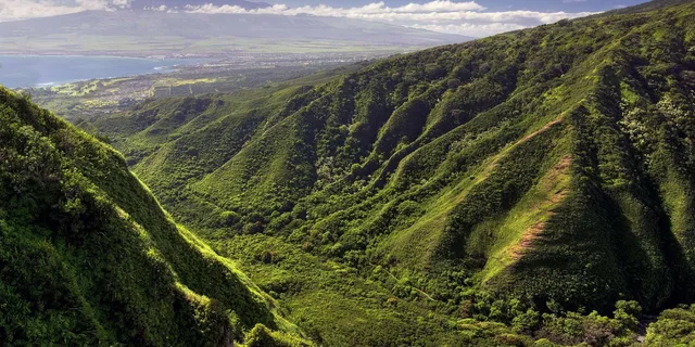 Maui Waterfalls Helicopter Tour - Image 3