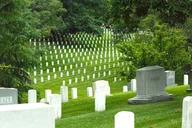 Washington DC National Mall Bus Tour and Arlington Cemetery Walk thumbnail 6