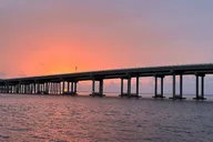 Destin Dolphin Watching Tour at Sunset thumbnail 5