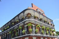 New Orleans Carriage Tour of the French Quarter thumbnail 6