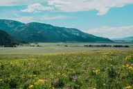Yellowstone Lamar River Valley Day Hike thumbnail 5