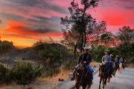 Los Angeles Horseback Riding Tour in Griffith Park thumbnail 4