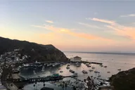 Catalina Island Walking History Tour thumbnail 4