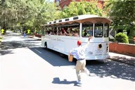 Savannah Historic Sightseeing Trolley Tour thumbnail 5