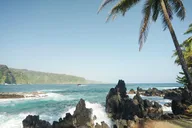 Maui Road to Hana Rainforest & Waterfall Tour thumbnail 4
