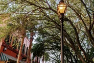 St. Augustine Shopping Tour in Uptown thumbnail 4