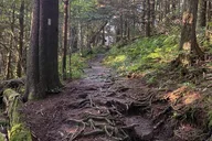 Gatlinburg Appalachian Trail Hike to Charlies Bunion 6 hr thumbnail 3