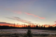 Yellowstone Wildlife Tour thumbnail 6