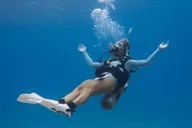 Oahu Scuba Dive at Electric Beach 2 hr thumbnail 6