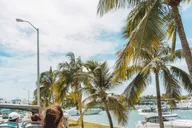 Miami Hop-on Hop-off Bus Tour with Cruise Option thumbnail 2