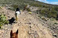 Laughlin Horseback Riding with Scenic Views thumbnail 3