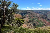 Kauai Island Tour: Waimea Canyon and Kalalau Lookout thumbnail 4