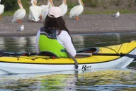 Yellowstone Lake Guided Kayak Tour with Lunch thumbnail 3