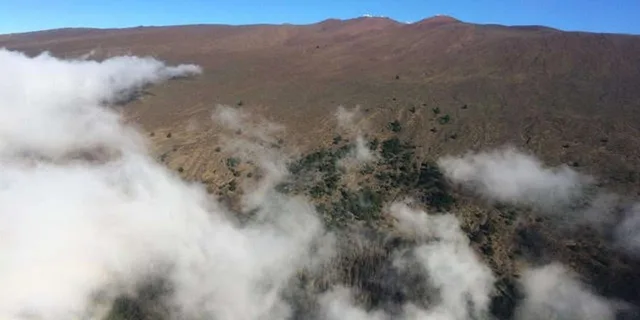 Maui Helicopter Tour Haleakala and Hana Rainforest 45 Min - Image 3