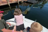 Key Largo Boat Eco Tour thumbnail 6