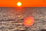 Florida Sunrise Cruise thumbnail 2