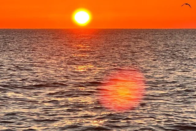 Florida Sunrise Cruise - Image 2