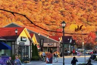 New York Private Transfer to Woodbury Common Outlets thumbnail 5
