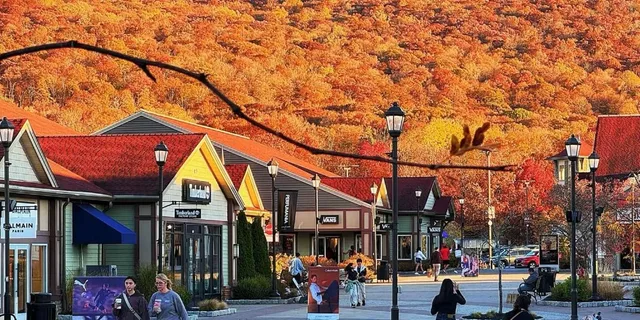 New York Private Transfer to Woodbury Common Outlets - Image 5