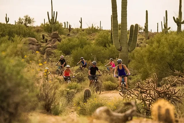 Scottsdale Mountain Bike Tour in Sonoran Desert - Image 6