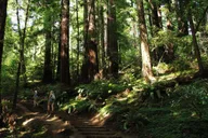 San Francisco Muir Woods & Golden Gate Bike Tour thumbnail 1